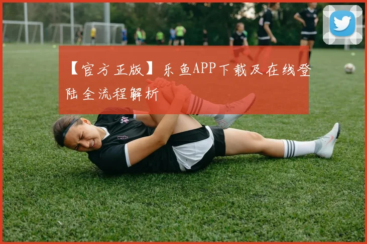 【官方正版】乐鱼APP下载及在线登陆全流程解析
